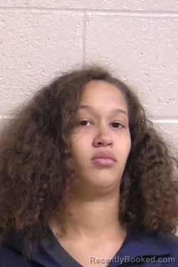 Booking photo from Madison County, Illinois