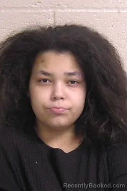 Mugshot of TREASURE HOLMAN booked in Madison County, Illinois on April 2, 2026