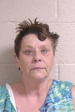 Mugshot of Dianna Castleberry booked in Madison County, Illinois on August 16, 2026