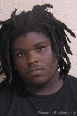 Mugshot of BLAKE JOHNSON