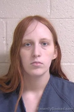 Mugshot of TAYLOR MITCHELL