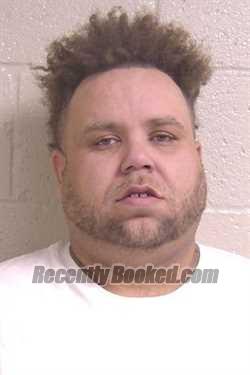 Booking photo from Madison County, Illinois