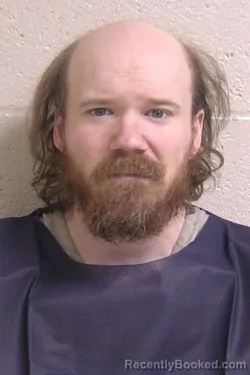 Booking photo from Madison County, Illinois