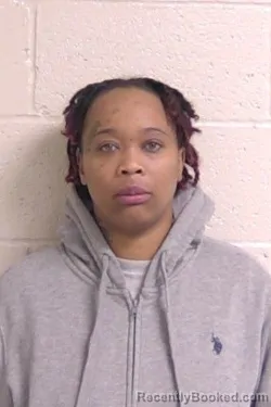 Mugshot of WANISHA CLEMENTS