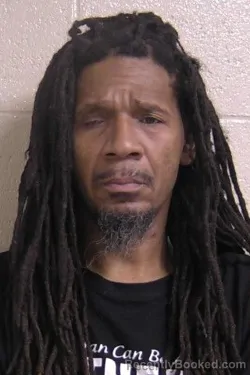 Mugshot of DAMON WILEY