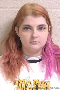 Mugshot of BRITTANI WILSON