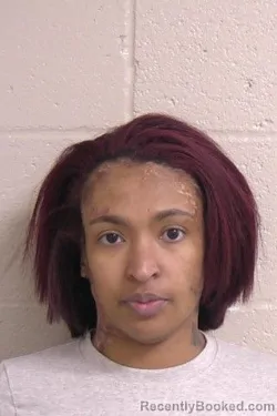 Booking photo from Madison County, Illinois