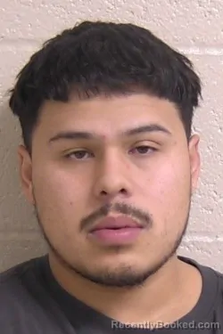 Booking photo from Madison County, Illinois