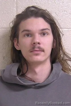 Mugshot of DOMINICK MCMILLAN