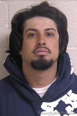 Mugshot of RANDY SILVA