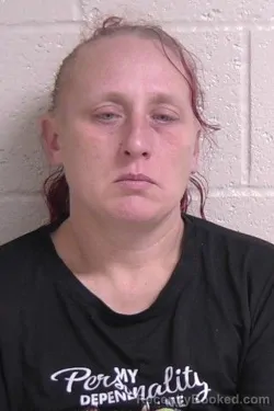 Mugshot of CYNTHIA TRIPLETT