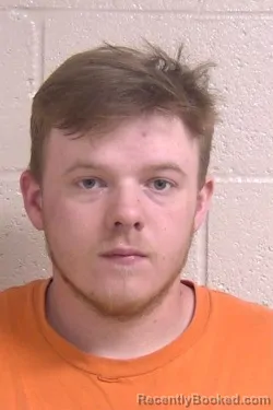 Mugshot of DYLAN WILLIAMS