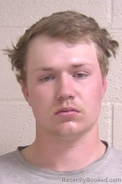 Mugshot of BEAU BURRIS