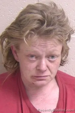 Mugshot of SARAH LAKE booked in Madison County, Illinois on March 30, 2026