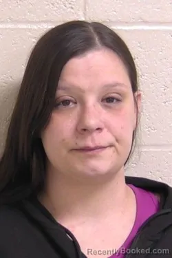 Mugshot of HANNA YANICK booked in Madison County, Illinois on April 3, 2026