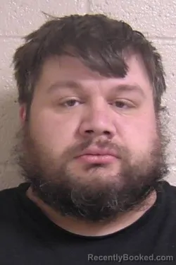 Booking photo from Madison County, Illinois