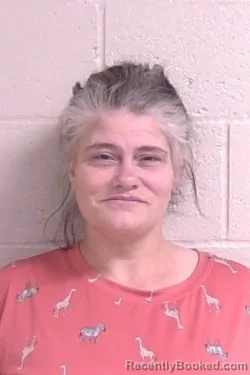 Mugshot of KRYSTAL BOSTIC booked in Madison County, Illinois on April 29, 2026
