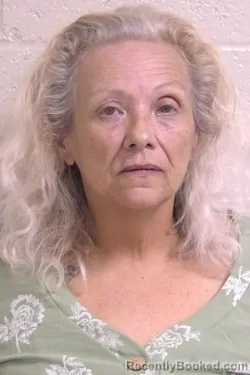 Mugshot of TERESA ELDER booked in Madison County, Illinois on May 8, 2026