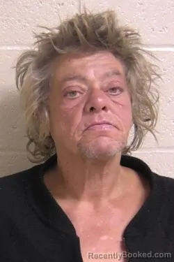 Mugshot of NIKKI INGRANDE booked in Madison County, Illinois on May 12, 2026