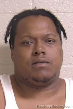 Mugshot of DOMINIQUE BELLAMY booked in Madison County, Illinois on June 13, 2026