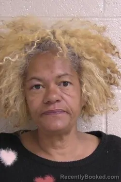 Mugshot of Virginia Puff
