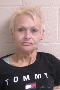 Mugshot of KARRIE MCDANIEL booked in Madison County, Illinois on May 15, 2026