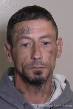 Mugshot of JOHN WATSON