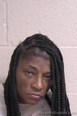 Mugshot of ELLA SHELLMIRE