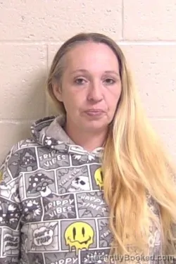 Mugshot of BRANDY MCREYNOLDS