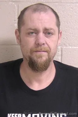 Booking photo from Madison County, Illinois