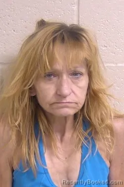 Mugshot of MICHELLE HEATON booked in Madison County, Illinois on July 11, 2026