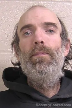 Booking photo from Madison County, Illinois