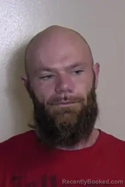 Mugshot of JOHN SANDERS