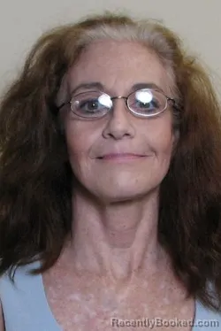 Mugshot of SUSAN WILSON