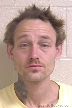 Mugshot of DUSTIN DENSON