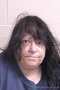 Mugshot of ABBE TERRY booked in Madison County, Illinois on May 4, 2026