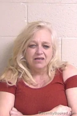 Mugshot of ANITA GURKIN