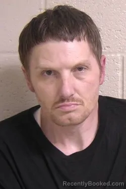 Mugshot of ADAM NEMETH booked in Madison County, Illinois on April 20, 2026