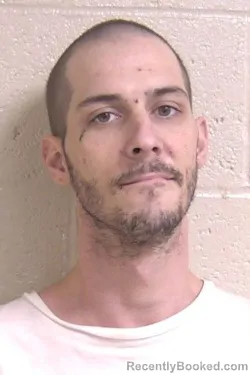 Mugshot of BRADEN PHILLIPS