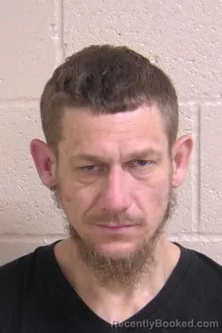 Mugshot of BRANDON PETRILLO