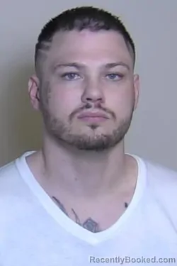 Mugshot of DONALD LINDSAY booked in Madison County, Illinois on April 3, 2026