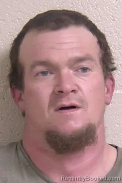 Mugshot of ROBERT HAYS