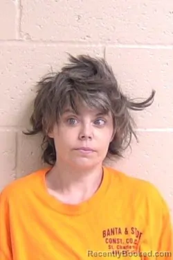 Mugshot of Felicia Mcdowell booked in Madison County, Illinois on September 12, 2026