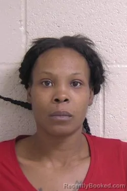 Mugshot of CONNIE WELLS