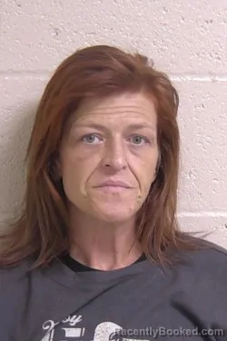 Mugshot of KARLA HEALEY booked in Madison County, Illinois on April 23, 2026