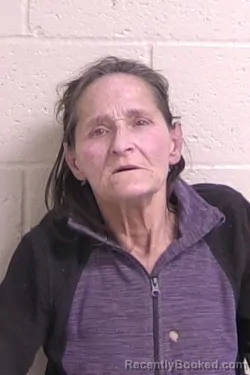 Mugshot of LISA NOVAK