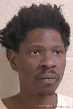 Booking photo from Madison County, Illinois