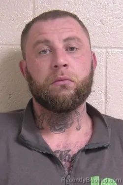 Mugshot of JAMES WILLIAMS