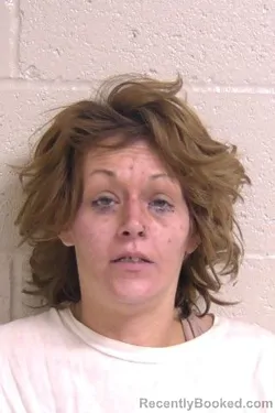 Mugshot of ASHLEY VOLLINTINE