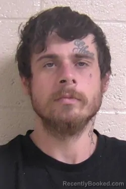 Mugshot of ELVIS ARNOLD